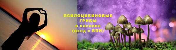 а пвп мука Касимов