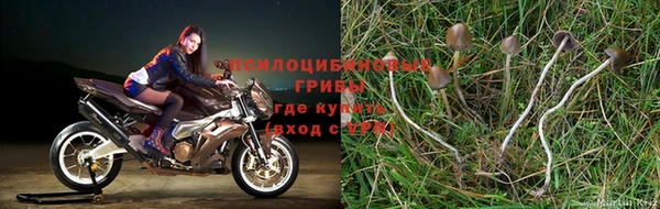 а пвп мука Касимов