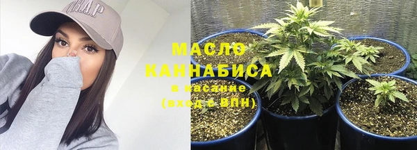 сатива Кинешма