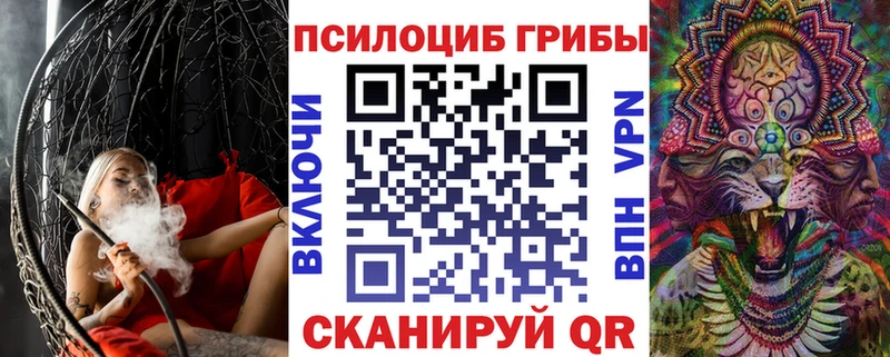 Псилоцибиновые грибы Psilocybine cubensis  Купить  Инза 